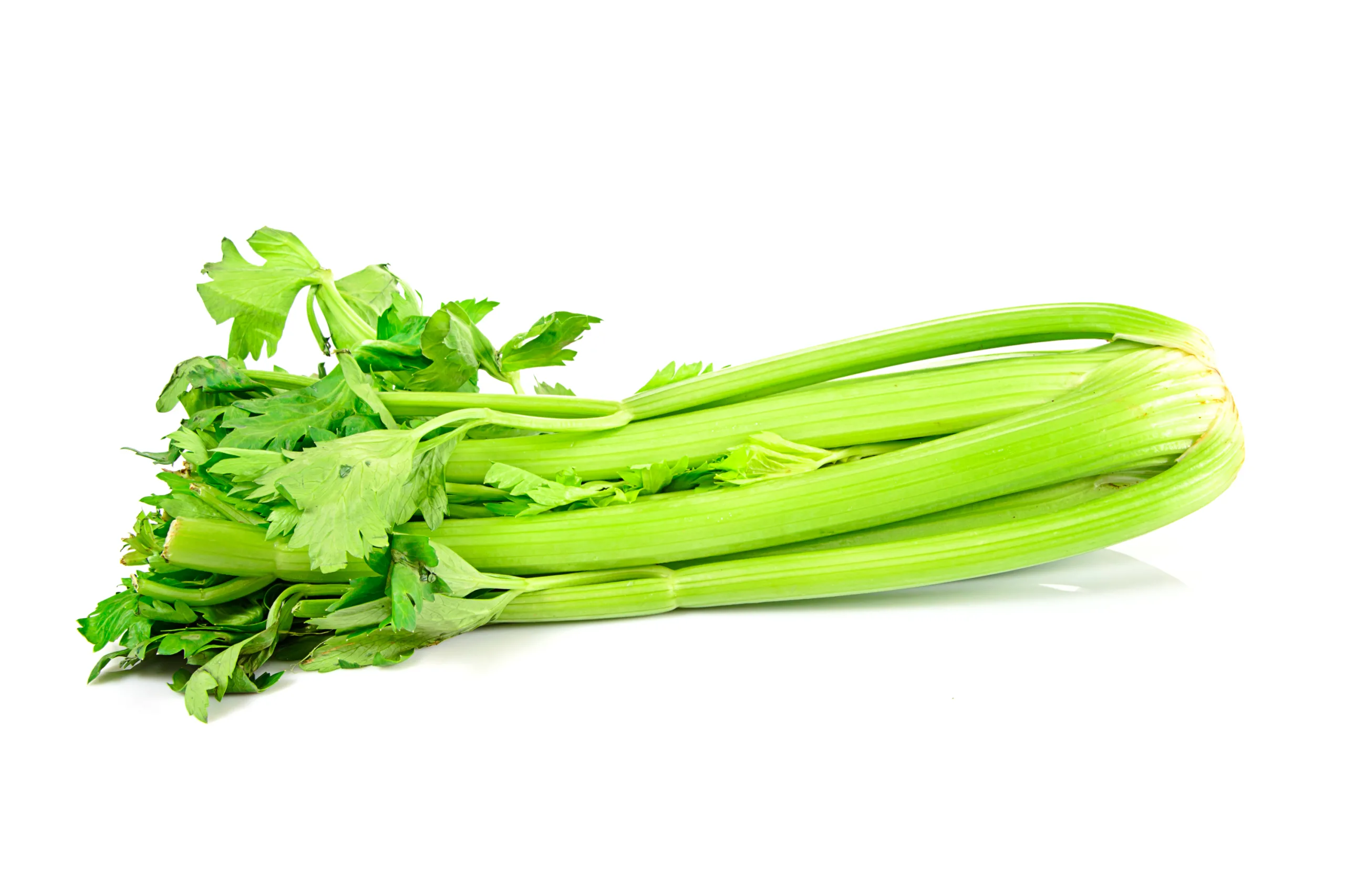 Fresh Juicy Celery on White Background. Studio Photo.