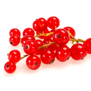 Groseilles
